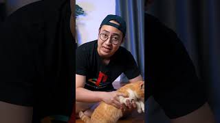 MEDY RENALDY NGEREVIEW MAINAN KUCING GARFIELD [upl. by Ahsiret]