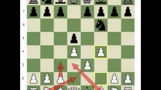 Chesscom How to be a Better Blitz Player [upl. by Epilihp835]