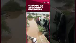 Andhra Flood News  NDRF Provides Essentials To Flood Affected Areas Of Andhra Pradesh [upl. by Ramyar]