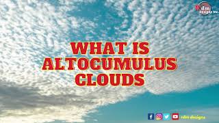 Altocumulus Clouds  What is an Altocumulus Clouds Clouds Study Clouds [upl. by Ajdan403]