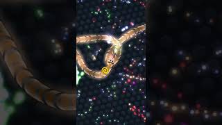 Slitherio The Best Pro wormszoneioslithersnakegame slithering wormszone gameplay [upl. by Adele80]