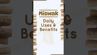 Miswak  ToothCleaning Stick  EduCare  Natural Cure amp Tips miswak benefits [upl. by Halian]