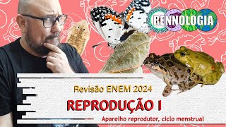 REVISÃO ENEM 2024  Reprodução I [upl. by Fabrice]