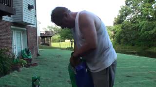 Compadre Zenith Zoysia grass Seed vs Plugs Part 2 How to plant seeds Maryland area [upl. by Aihsemaj]