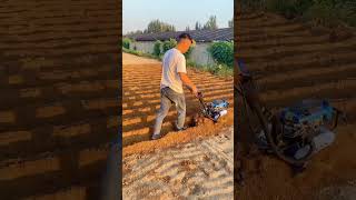 hillside hilly land orchard greenhouse corn field rotary tiller weeding [upl. by Weig]