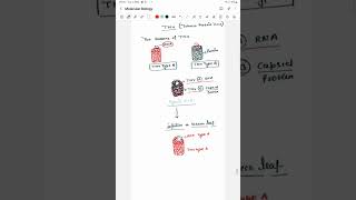 Molecular biology Lecture 2 Fraenkel Conrats experiment  RNA world hypothesis [upl. by Retsila]