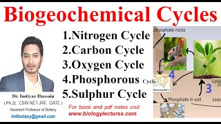 Biogeochemical Cycles nitrogencycle carboncycle Oxygen Phosphorous amp Sulphur Cycle bscbotany [upl. by Zita]