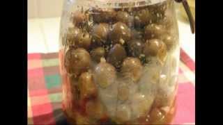 recette pour faire des olives vertes en conserves [upl. by Regor102]