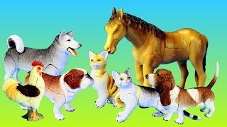 Toy Pet Animals 3D Puzzles Collection Dogs Cats Horse │Animal Toys For Kids [upl. by Stormy]