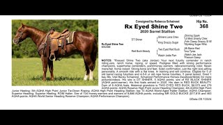 Pitzer Ranch Fall Sale 2024 RX EYED SHINE TWO [upl. by Eibbed]