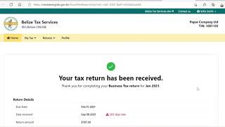 IRIS Belize  How To File A Tax Return Online Portal [upl. by Bird600]