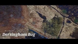 Dersingham Bog Norfolk  DJI Mavic Pro [upl. by Kayla]