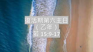 復活期第六主日（乙） [upl. by Stoddart506]