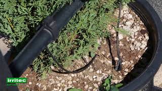 Irritec Drip Irrigation Solutions 3 [upl. by Natfa]