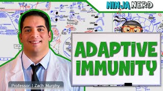 Immunology  Adaptive Immunity [upl. by Belita877]