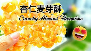 杏仁麦芽酥 ❤ Almond Florentine [upl. by Barabbas926]