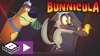 Bunnicula  Bunnicula ist ein Roboter  Cartoonito [upl. by Jazmin]