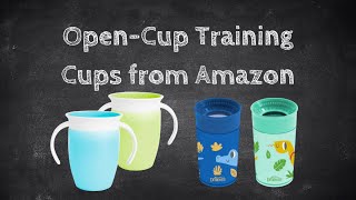 Transition Cups For Babies and Toddlers [upl. by Matthaeus]