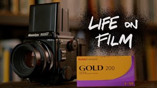 is Kodak Gold 200 that good  life on film [upl. by Thadeus]