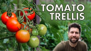 How to Build The BEST Tomato Trellis [upl. by Llenej582]