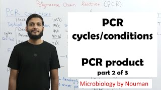 Polymerase chain reaction  PCR cycles conditions  PCR Product part 2 of 3 [upl. by Caine]