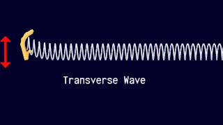 Longitudinal and Transverse Waves [upl. by Felicia871]