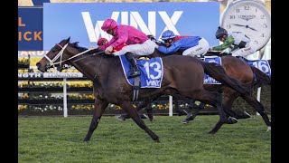 Randwick  2024 7 Sport Stakes Day Preview FANGIRL TO REIGN SUPREME [upl. by Ollopa217]