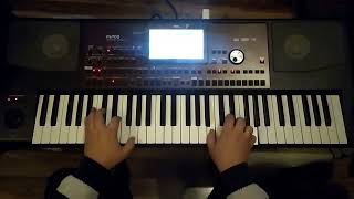 Moonlight sonata  Sonata księżycowa Lvan Beethoven  fragment keyboard version 179 Korg [upl. by Aikaj514]