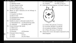 MalvaceaeCruciferae Leguminoceae Compositae Graminae NET QUESTIONS PRACTICE NCERT BASIS NTA [upl. by Zwick]