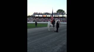 Pam Hanes National Anthem Tennessee Walking Horse Celebration [upl. by Aratas]