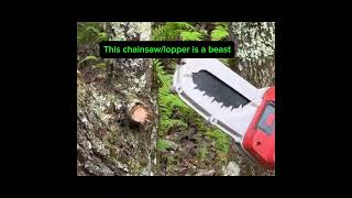 ChainsawLopper Check comments to find chainsaw ad fyp amazon shorts outdoorequipment [upl. by Freyah]