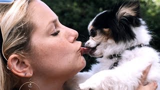 I KISSED A DOG I Kissed a Girl  Katy Perry Parody [upl. by Akimet]