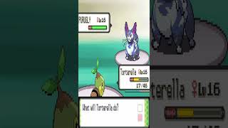 I REALLY Hate Purugly pokemonpearl purugly [upl. by Nnawaj]