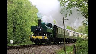 South Devon Railway  1369s Final Running Day  9517 [upl. by Sharp273]