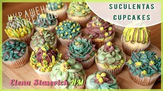 Тренд Капкейки Сукуленты украшение насадками  Suculentas cupcakes decoration  Elena Stasevich HM [upl. by Flossi482]