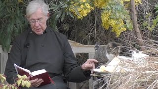 Mischievous cat steals Dean of Canterbury’s pancake during morning prayer [upl. by Som239]