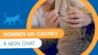 Comment donner un cachet à mon chat [upl. by Nirol]