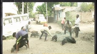 Karnataka Kalaburagi City Corporation starts drive to catch stray pigs [upl. by Aicad]