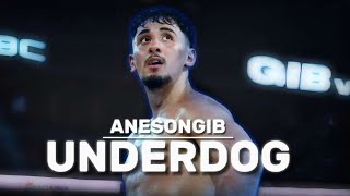 AnEsonGib UNDERDOG  Boxing Documentary [upl. by Viking]