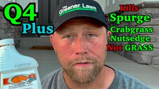 Remove Crabgrass and Broadleaf Weeds FAST Q4 Plus Overview [upl. by Flori]