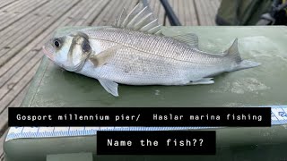 Gosport millennium pier Haslar marina Name the fish [upl. by Benetta]