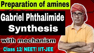 Gabriel Phthalimide synthesis with mechanism 06  Preparation of amines  Class 12 NEET IITJEE [upl. by Ydnat346]