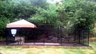 Ultimate Dog Kennel from K9 Kennels [upl. by Twedy]