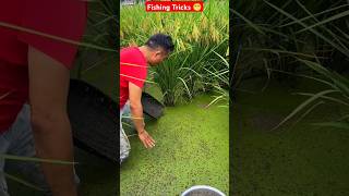 Fack or Orginal  Fish Fishing Without Hook  ytshorts fishingtips viralreels fact AGGACHOKRO [upl. by Teodoro]