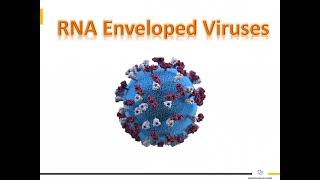 RNA Enveloped Viruses 1 [upl. by Fenton]