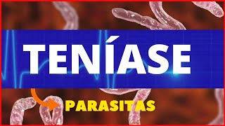 TENÍASE SOLITÁRIA  TÊNIA SOLIUM E TÊNIA SARGINATA  PARASITOLOGIA VERMINOSE  INFECTOLOGIA [upl. by Gingras10]