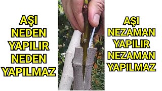 Aşı Neden Yapılır Neden Yapılmaz [upl. by Ehsiom74]