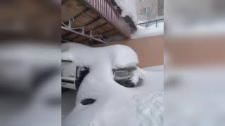 Russia is damned ⚠️ A terrible snow storm hit Sakhalin People are in fear [upl. by Anitram]