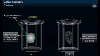 Experiment on Adsorption amp Absorption [upl. by Georgi656]