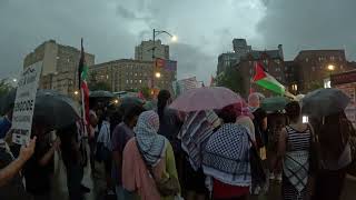 New Yorkers Palestine supporters outside the Brooklyn Museum [upl. by Kampmann]